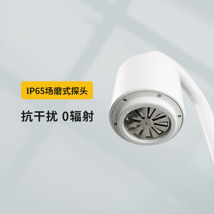 雷電預(yù)警系統(tǒng)-IP65場磨式探頭 雷電預(yù)警系統(tǒng)-IP65場磨式探頭