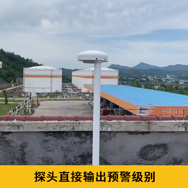 雷電預(yù)警系統(tǒng)價(jià)格-IP65探頭 雷電預(yù)警系統(tǒng)價(jià)格-IP65探頭