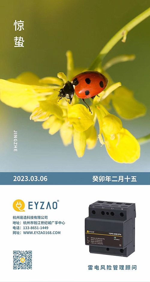 驚蟄-叫醒甜睡的春-易造防雷 驚蟄-叫醒甜睡的春-易造防雷
